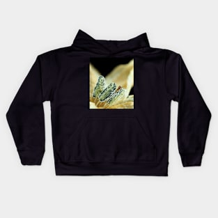 Hot chili pepper flower under the microscope Kids Hoodie